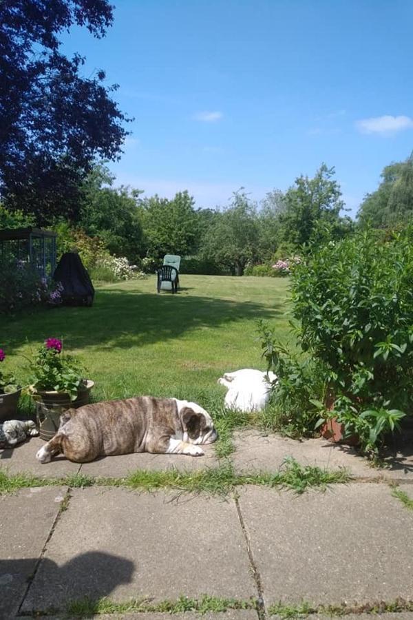 Twenty Bed & Breakfast Skellingthorpe ภายนอก รูปภาพ