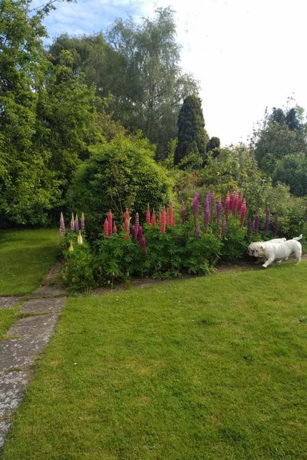 Twenty Bed & Breakfast Skellingthorpe ภายนอก รูปภาพ