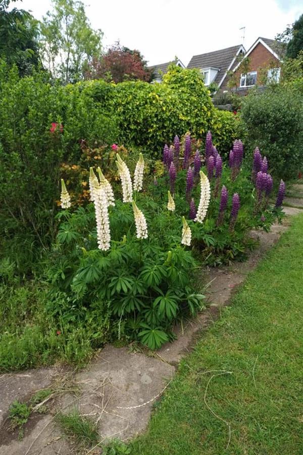 Twenty Bed & Breakfast Skellingthorpe ภายนอก รูปภาพ